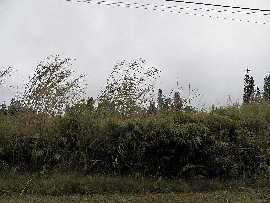 1st image of Lehua St Lot 6945