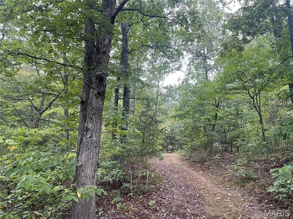 X Cres #339, Piedmont, MO 63957