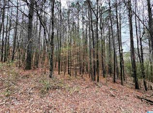 320 Willow Ln #0, Hayden, AL 35079