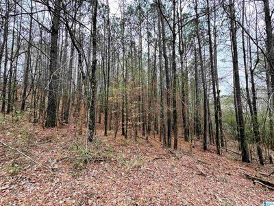 320 Willow Ln #0, Hayden, AL, 35079