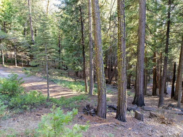 3507 Ben Thorn Dr, Arnold, CA 95223