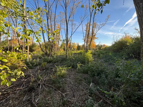 21647 Owens Rd, New Lenox, IL 60451