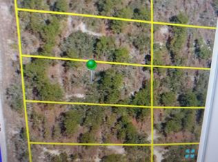 LOT 11 Meadow Plover Rd #11, Brooksville, FL 34614