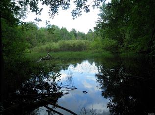 516 Ruddy Rd, Chase Mills, NY 13621