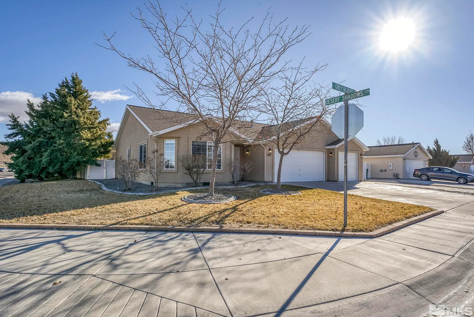 1451 Grey Bluffs Dr photo 1