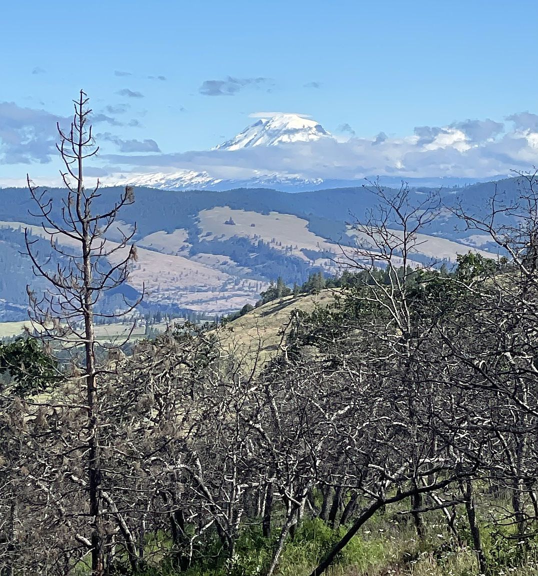 Osborn Cuto, Mosier, OR 97040 MLS 22546292 Zillow