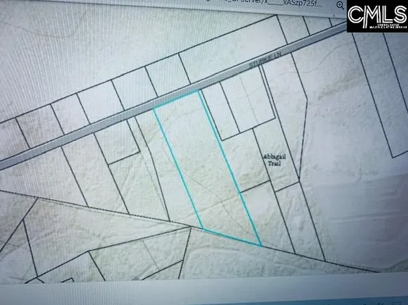 274 Sturkie Ln, Gaston, SC 29053