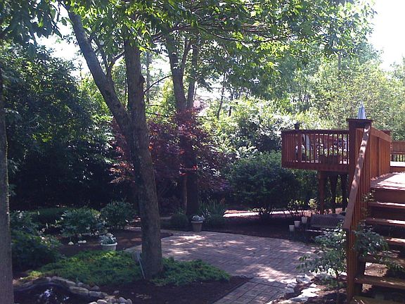Backyard and deck