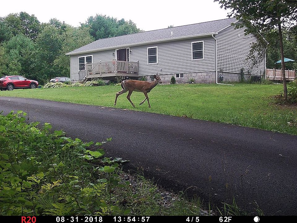 2nd image of 647 Wilton Gansevoort Rd