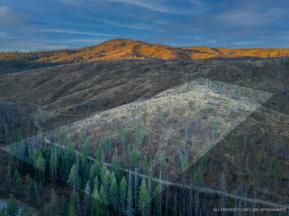 LOT 11 Rail Canyon Rd, Springdale, WA 99173