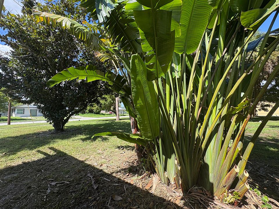 1st image of 1010 Mayflower Road