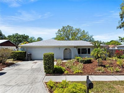 7746 Jodi Lynn Dr, Tampa, FL, 33615