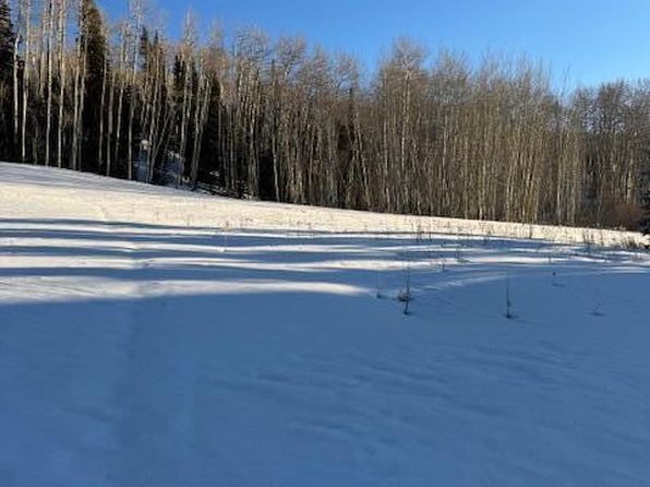 Arizona St #810-B, Telluride, CO 81435