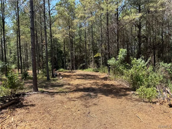 0 County Road 100, Fayette, AL 35555