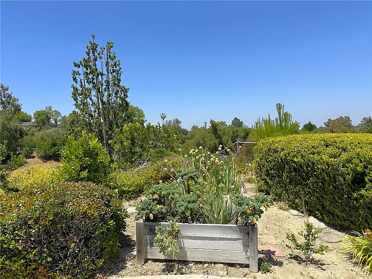26543 Academy Dr — Photo 49