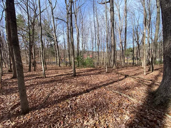 LOT 5 Ivanhoe Rd, Max Meadows, VA 24360