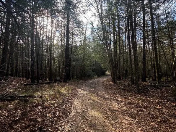 BIRNAMWOOD ROAD, Birnamwood, WI 54414