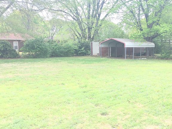 Big Back Yard