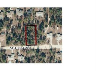 11309 Gallinule Ave, Weeki Wachee, FL 34613