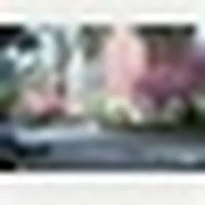 Rented by Nest Seekers International | media 35