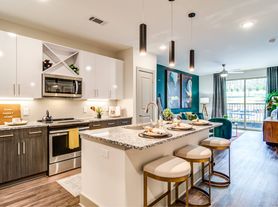 Skye Suwanee Town Center