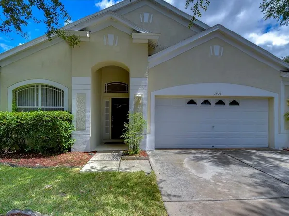 7907 Terrace Ridge Dr, Temple Terrace, FL 33637