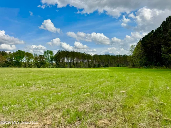 875 Stump Bridge Rd, Canton, MS 39046