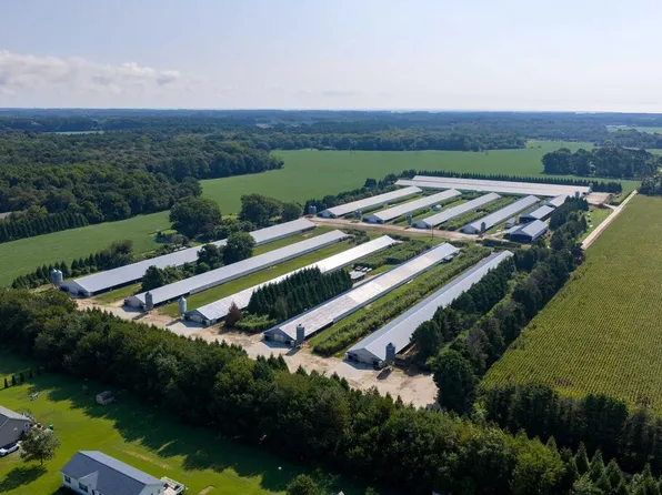 21213 Big Farm Rd #80, Melfa, VA 23410