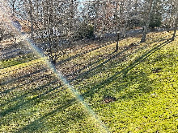 5th image of 250 Little Buck Ln