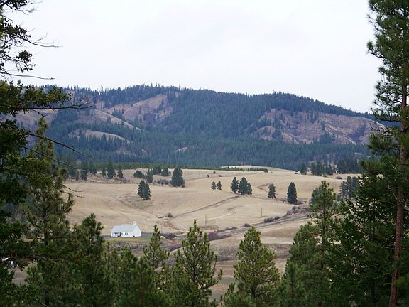Views in nearly every direction! This picture was taken from the back yard looking towards the Teanaway Grange Hall and Swauk Valley.