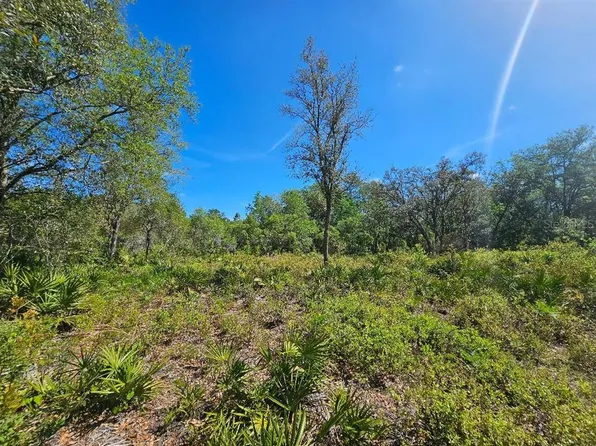 8130 Shellstream Dr #4, Webster, FL 33597