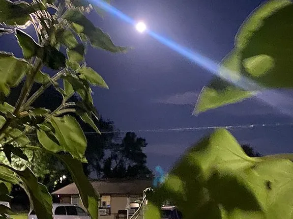 289 W F St, Phillipsburg, KS 67661