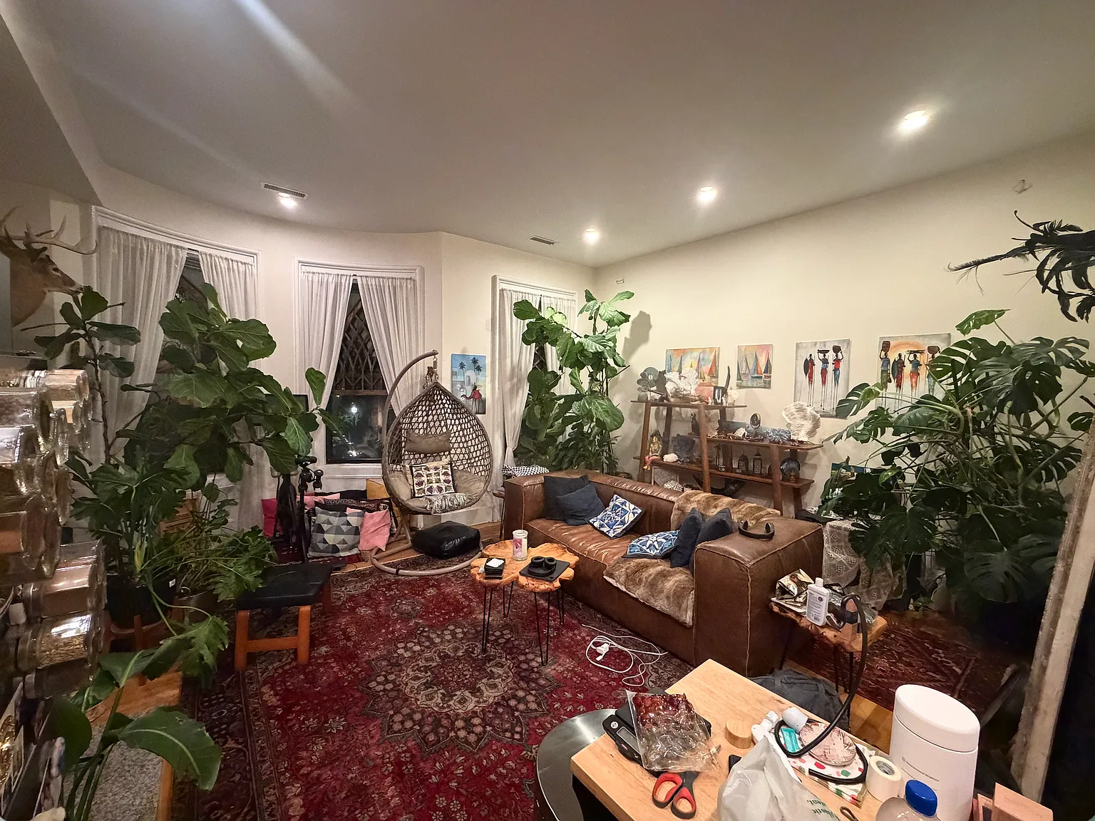 2 bed, 730 sqft, $3,500 — Photo 2
