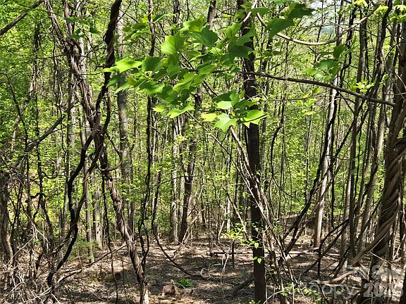 5th image of LOT 33 Turkey Fall Ln