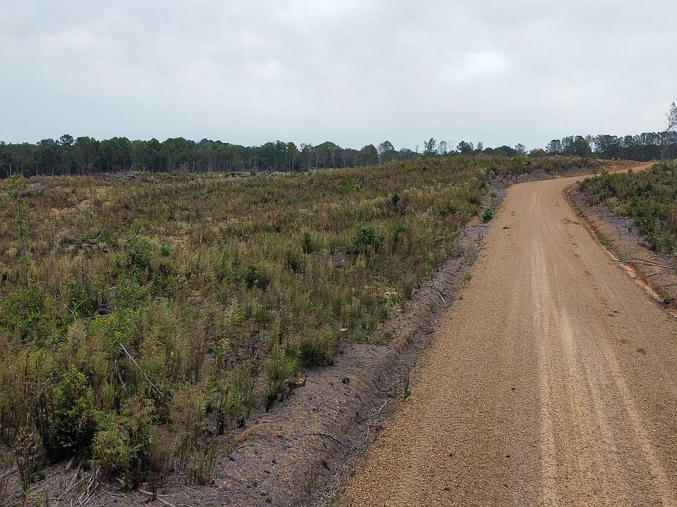 County Road 1115, Kosciusko, MS 39090 MLS 4061696 Zillow