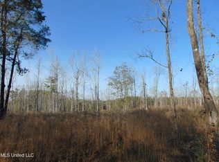 445 Hog Chain Dr SE, Bogue Chitto, MS 39629