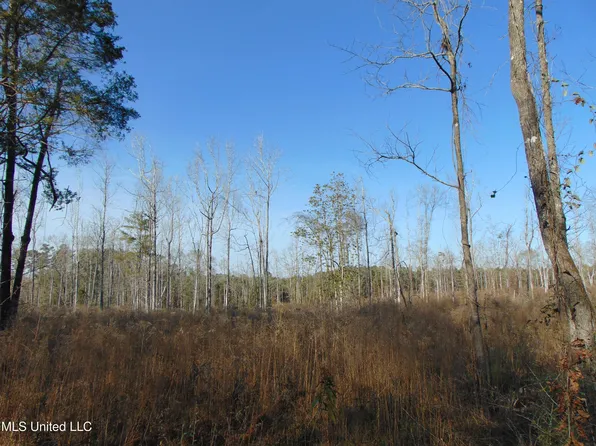 445 Hog Chain Dr SE, Bogue Chitto, MS 39629