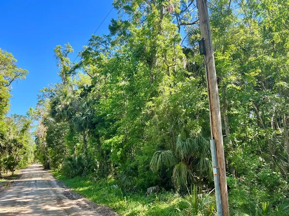 1416 NE Palm St, Steinhatchee, FL 32539