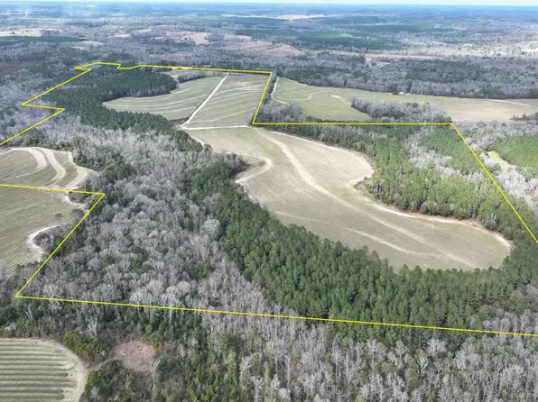 Xx Hwy #201, Brundidge, AL 36010