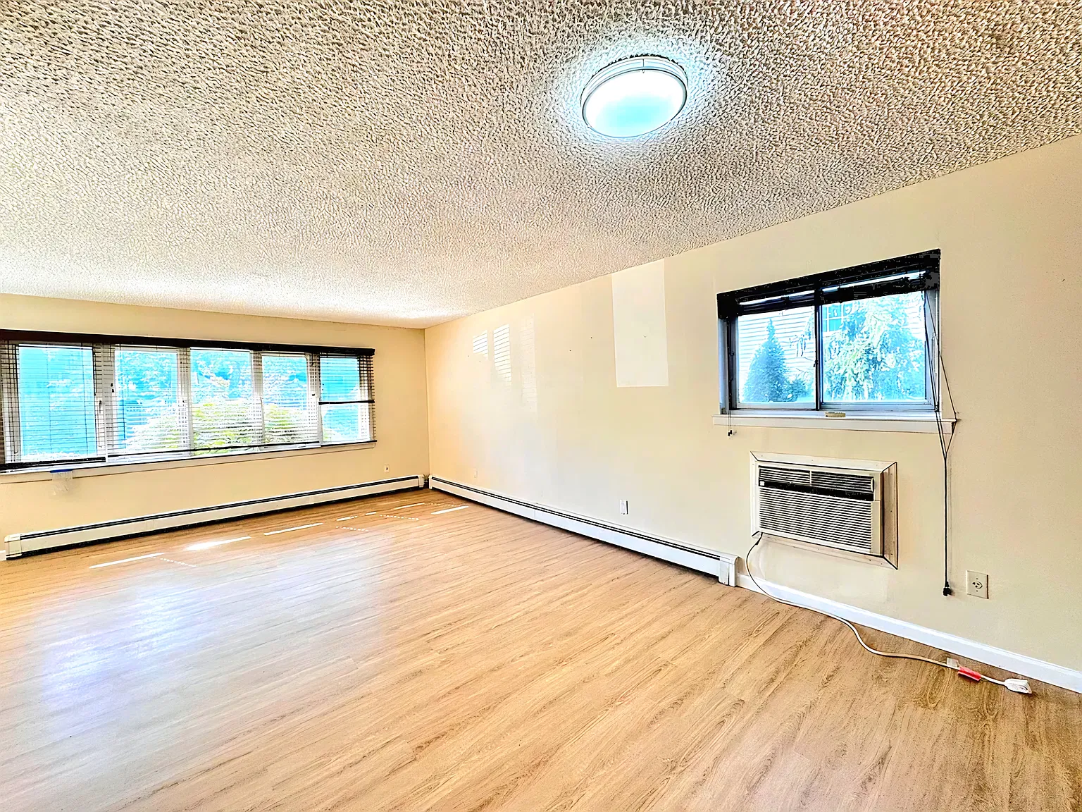 3 bed, 1.5 bath, 1125 sqft, $3,000 — Photo 4