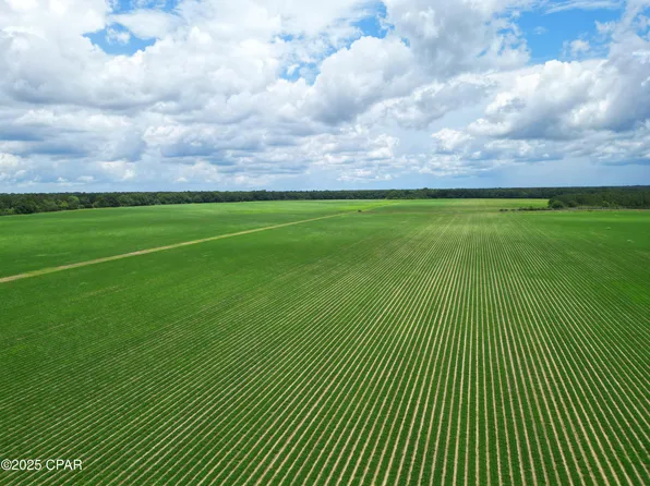 0 Blue Star Hwy, Quincy, FL 32351
