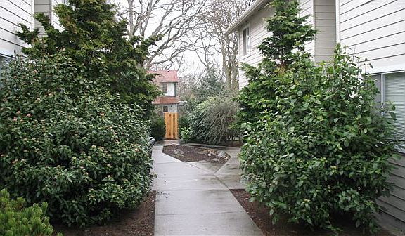 walkway