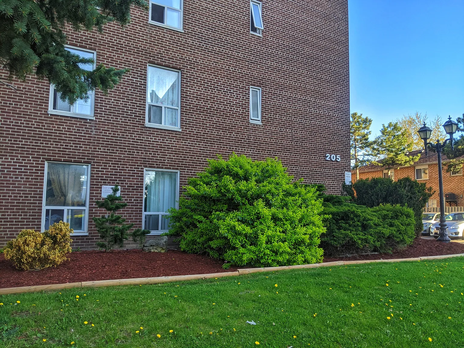Vodden Apartments - 205 Vodden Street East — Photo 1