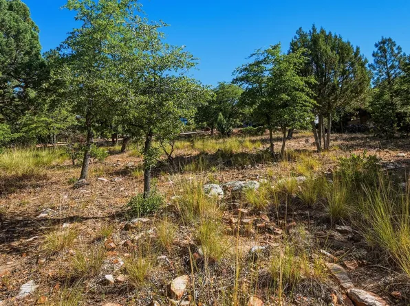 6695 W Buffalo Run, Pine, AZ 85544