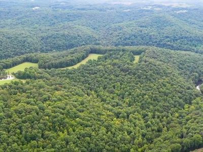 Charlie Newberry Rd, Lancing, TN, 37770
