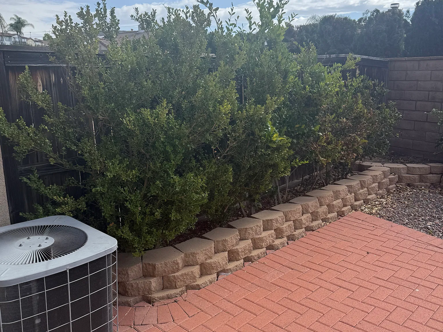 2 bed, 1244 sqft, $3,100 — Photo 4