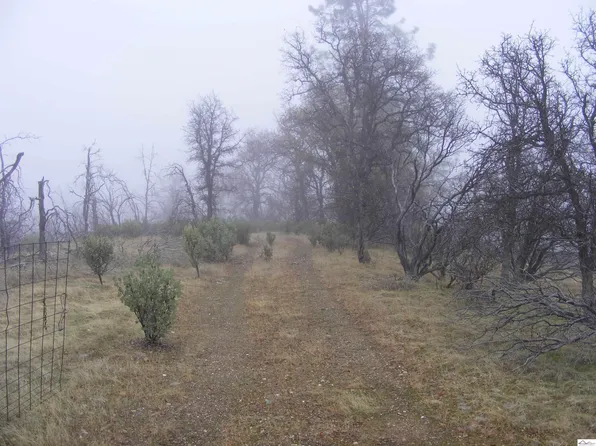 14350 Lost Ln, Igo, CA 96047