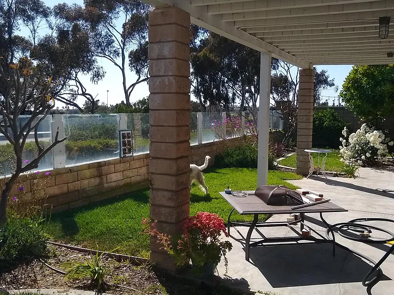 Calle Frontera — Photo 4