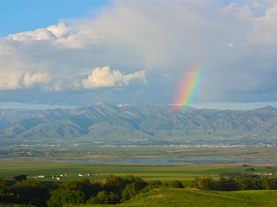 View from the front yard