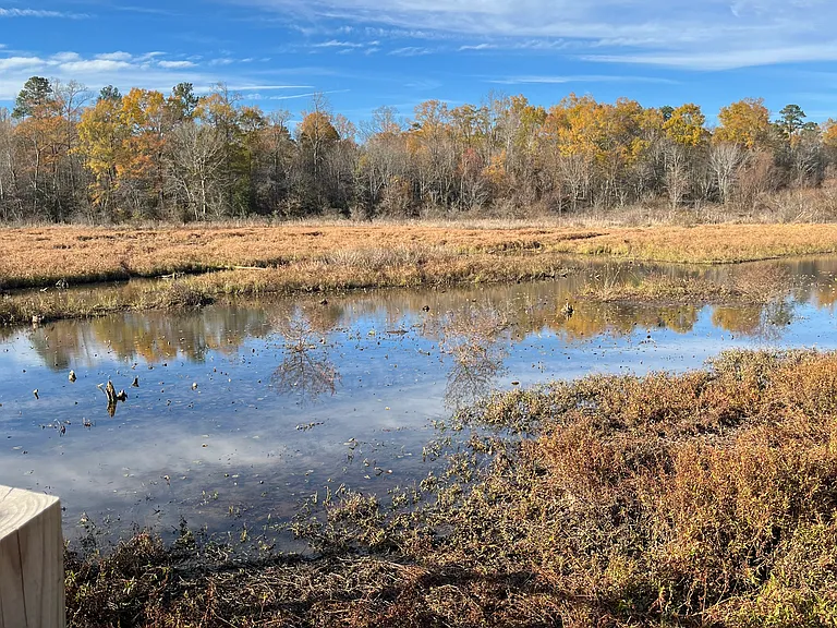 Local tuckahoe creek park
